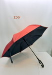 61099046_1005.jpg