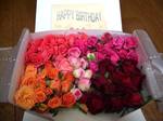 happybirthdaytoyou.jpg