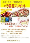 hatumeinohibarap0320.jpg
