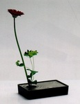 shizuka001.jpg